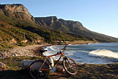 clifton IMG_2101.JPG